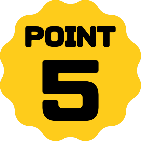 Point 5